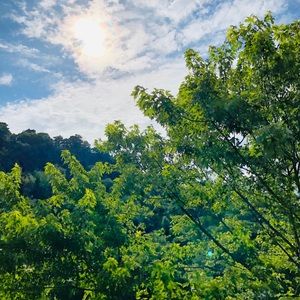 Meet your Posher, Ellie